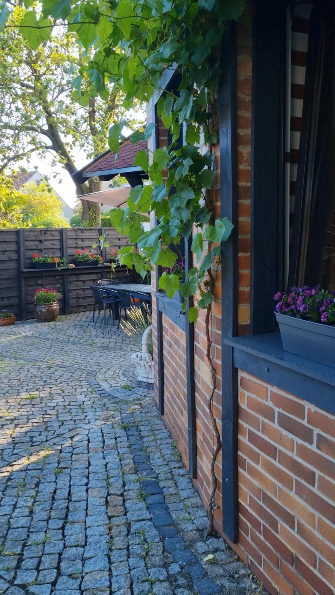Noclegi Na Lacznej Świebodzice Exterior foto